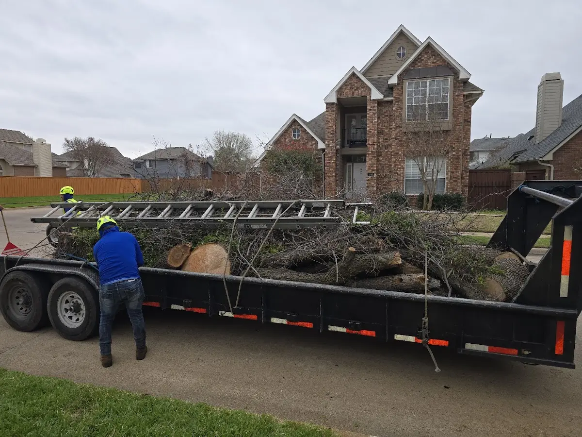 Expert Tree Removal with proper safety equipment in Saginaw